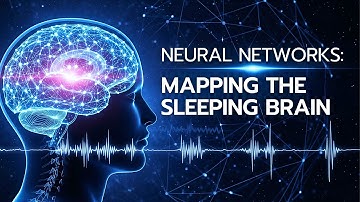 Neural Networks Mapping the Sleeping Brain | The Quiet Scholar