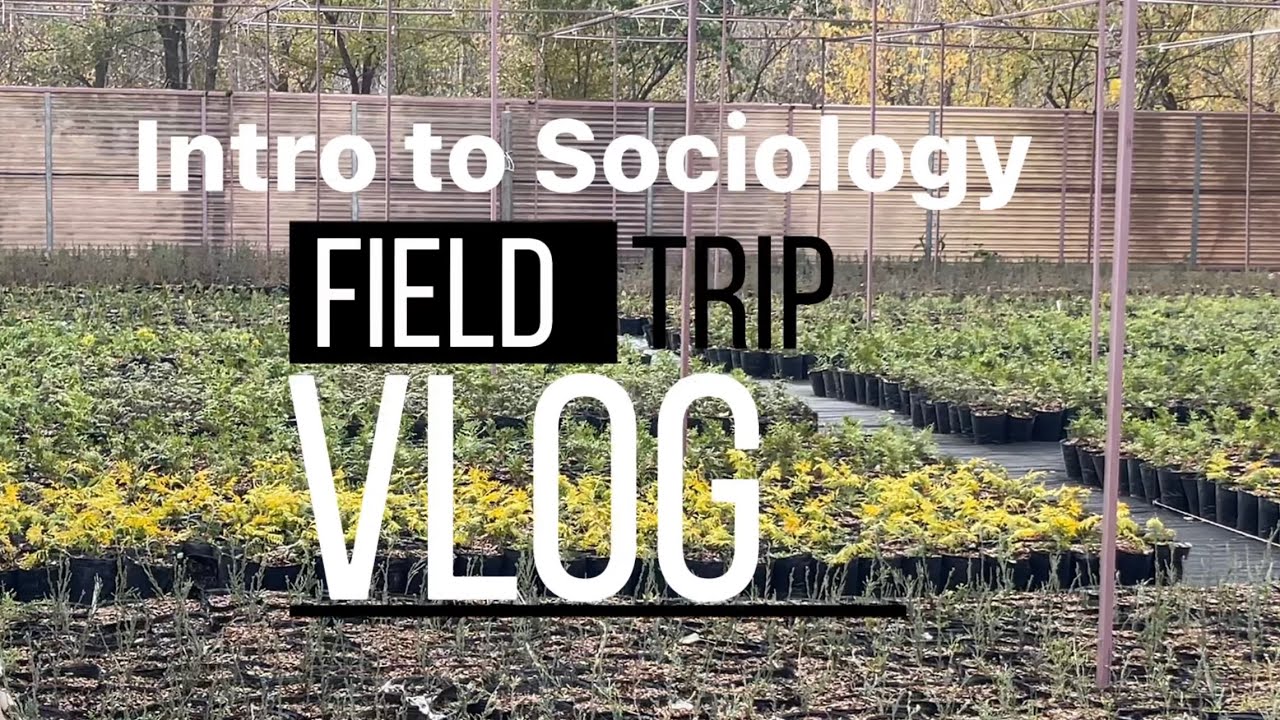 This Saturday we planted trees and flowers in the Zherdev Garden