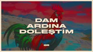 Delidevran - Dam Ardına Doleştim