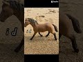 Schleich