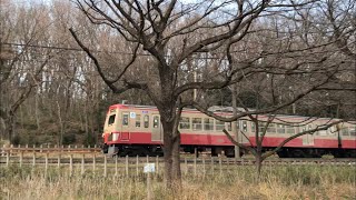 武蔵野を往く西武の赤電(西武園線・101系247F)