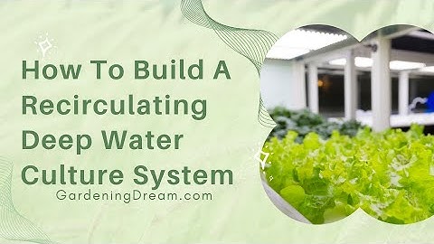 How To Build A Recirculating Deep Water Culture System