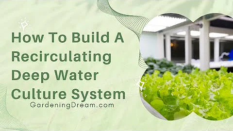 How To Build A Recirculating Deep Water Culture System