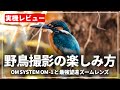 【野鳥撮影】OM SYSTEM OM-1と望遠レンズ3本を使って野鳥撮影の楽しみ方をご紹介！