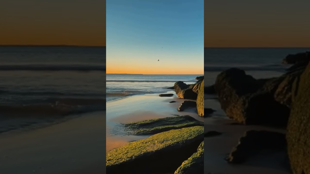 MagiCXbeats - Slow it Down