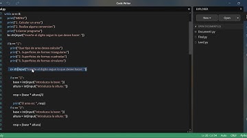 Programa Final - Fundamentos de Programacion