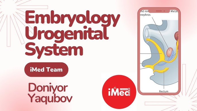 külotsiz neylon taytlarda sikish Yupqa etuk porno filmlar