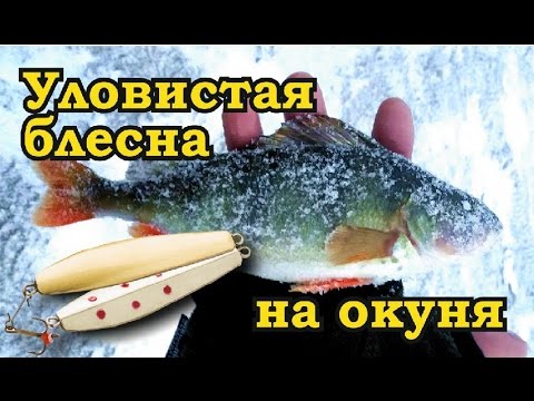 Ловля окуня на зимнюю блесну. Blue Fox Bergman - уловистая блесна на окуня.