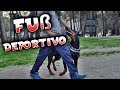 Entrena a tu perro para caminar junto a ti en el Fuß deportivo