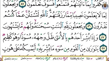 (12) تلاوة بصوت القارئ هزاع البلوشي سورة النحل، الآيات: 55-60