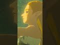 The Legend of Zelda: Breath of the Wild | Высший меч