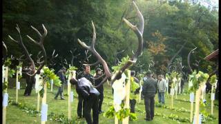 Északerdő Agancsszemle