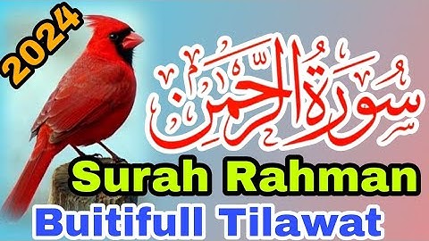 Surah Ar-Rahman |سورة الرحمن | Relaxing Voice Will Touch Your HEART Like Never Before | Episode 0016