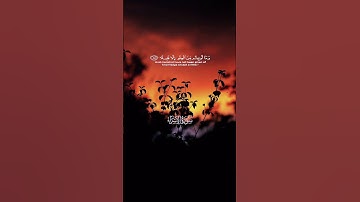 قران كريم{وَيَسْأَلُونَكَ عَنِ الرُّوحِ }#قرآن #quran #اكسبلور #foryou #لايك #سورة_الإسراء#السعودية