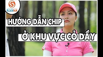 CHIPPING trong khu vực CỎ DẦY | Học chơi Golf
