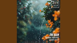 The Rain Pt. 8