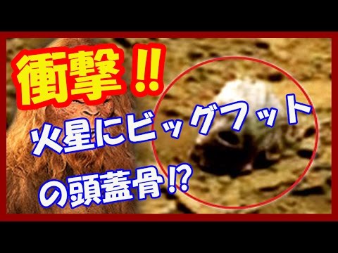 【衝撃】火星に「ビッグフットの頭蓋骨」？ UMAが地球外生命体だったとは!?
