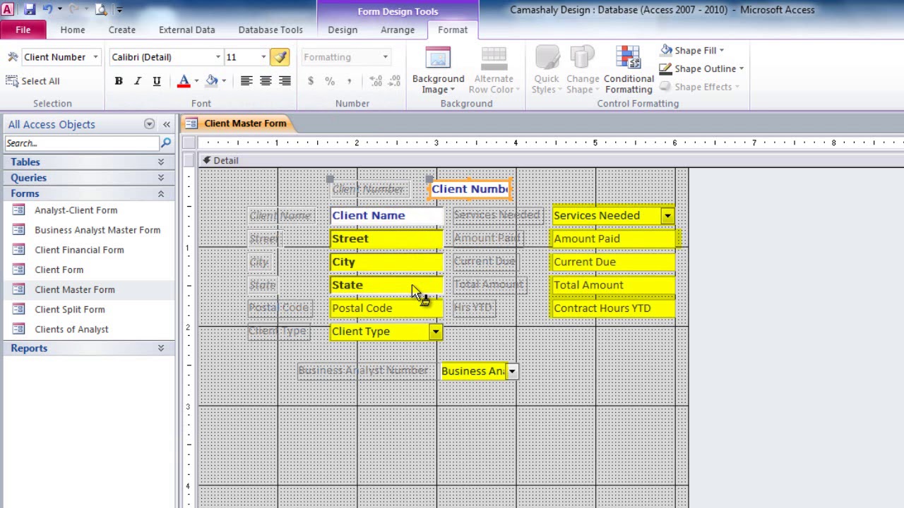 Microsoft Access: Use the Format Painter - YouTube