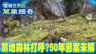 「森」入禁地！這片森林會打呼 驚人真相竟深埋「50年」？懸案未解被列為最高機密？【57爆新聞 萬象搜奇】@57BreakingNews
