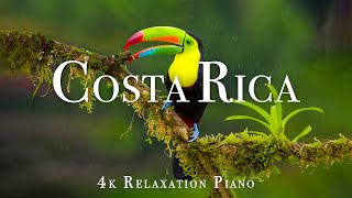 Costa Rica 4K - Scenic Wildlife Film With Piano Calming Music, Study, Relaxing