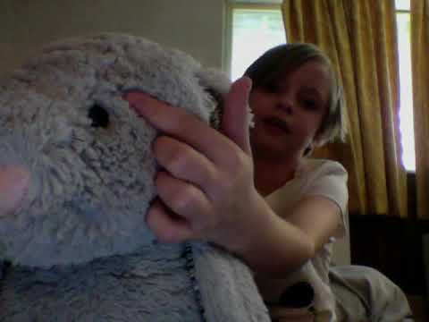 Jelly Cat Bashful Bunny Review!