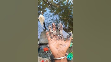 2Những Vật Dụng Đa Năng & Tiện ích Trong Đời Sống Hiện Đại#shorts #like #watercolor