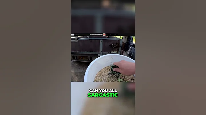 What It's Like live streaming in a rescue zoo