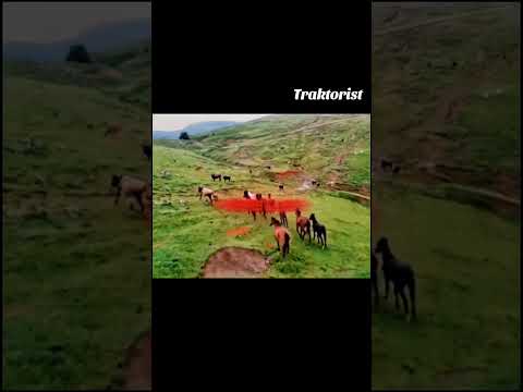 Горы Чечни — Traktorist