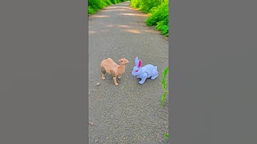 Remote Control 2 Camel operated 👍