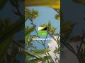 REALA ACE FS REICPE x Jason Lim / FUJIFILM #filmsimulation