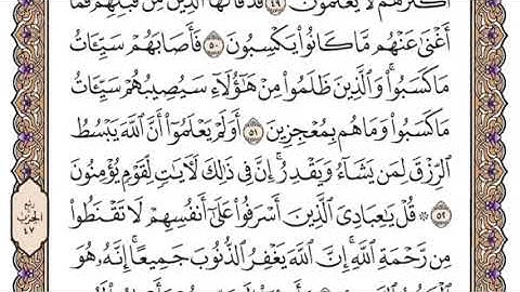 سورة الزمر الشيخ ياسر الدوسري صفحة ٤٦٤