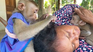 ASMR Monkey Grooming Oddly Satisfying Anxiety Relief Relaxing