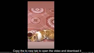 Guide to download facebook's story on PC 2020 screenshot 5