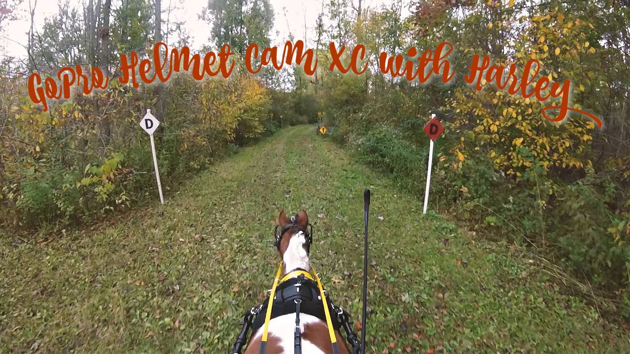 GOPRO HELMET CAM COMBINED DRIVING CROSS COUNTRY WITH MY MINI HORSE