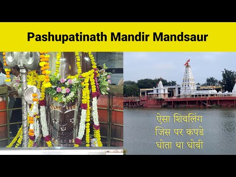 Pashupatinath Mandir Mandsaur | अष्टमुखी पशुपतिनाथ का मंदिर | Kota to Mandsaur Trip #hinduism