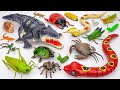 🦎toy asmr🦎 125 Mins ZURU Robo Alive Insect Collection | Robo Giant Crocodile & Snake (No Talking)