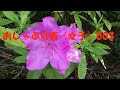 おしゃぶり音 女子 003 おしゃぶり音 女子 003