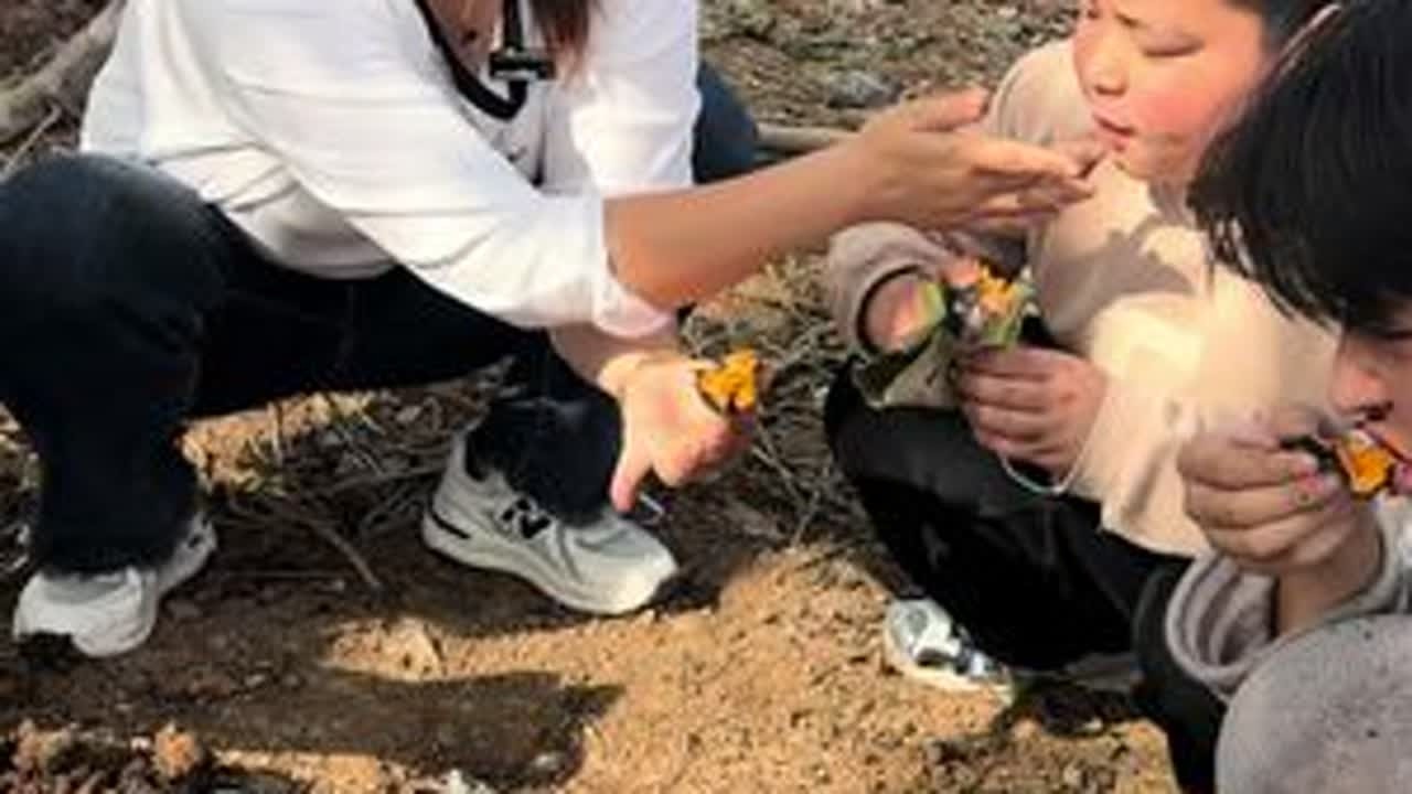 红薯🍠熟了，带孩子们去感受一场丰收的喜悦和人间烟火气，在农村地里烤红薯也是一种体验，也是享受哈！回归自然，尽享原味#回忆童年的烤地瓜#记录我的农村生活 #新农人计划2024