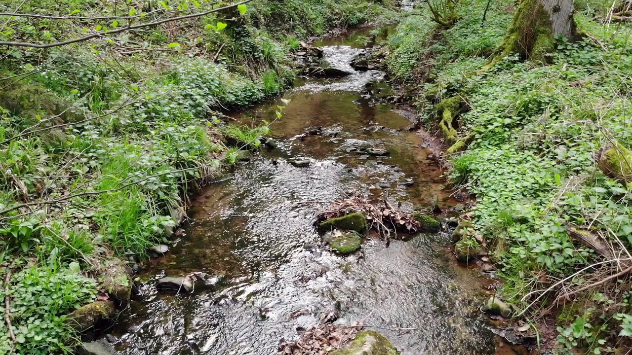 Strümpfelbach in Weinstadt