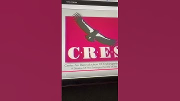 C.R.E.S Program/Barney Home Video/DKP Studios/Standard Publishing (1994)