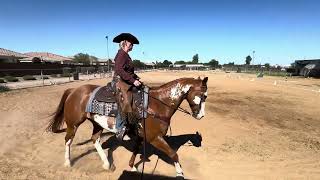 WDAAZ Follow Your Heart-Spring Show, Entry#6755 Celebrity Apprentice, Basic Test 2