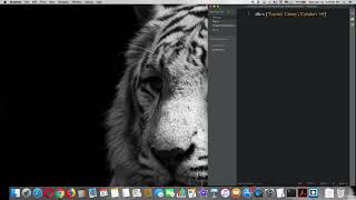 42 Dictionaries in Python