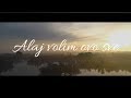 MIROSLAV ŠKORO - Alaj volim ovo sve (OFFICIAL VIDEO)