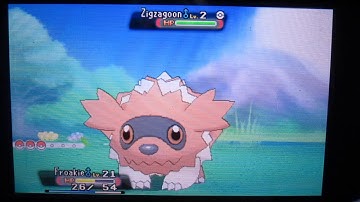 Shiny Zigzagoon - Random Encounter in Pokemon Omega Ruby