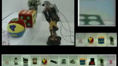 BONE-V2 Intelligent Robot Demonstration