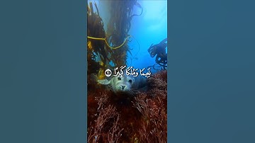 عينٌ فيها تُسمّى سلسبيلًا | تلاوة خاشعة محمد اللحيدان(سورة الإنسان – الآية 18)