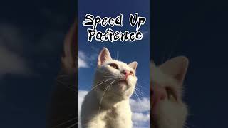 Patience - Take That Sped Up