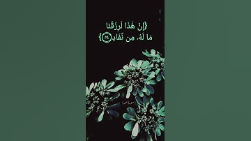 سورة ص الآية ٤٨ الى ٥٨ بصوت الشيخ سعود الشريم #قرآن #قرآن_كريم