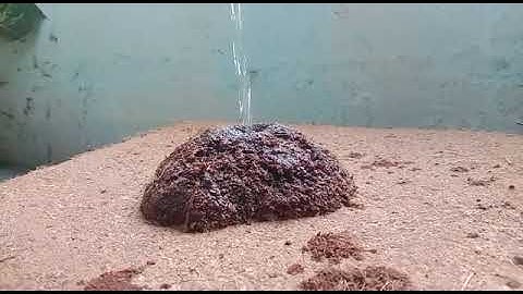 Cocopeat Expansion Test