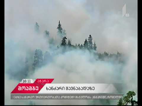 ხულოში, შავნაბადას მთაზე ცეცხლის კერები განახლდა